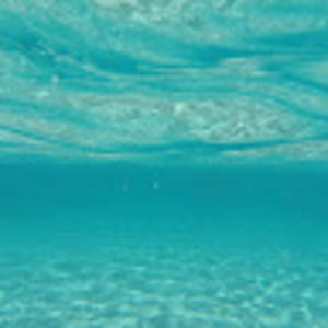 Meet your Posher, Maritza